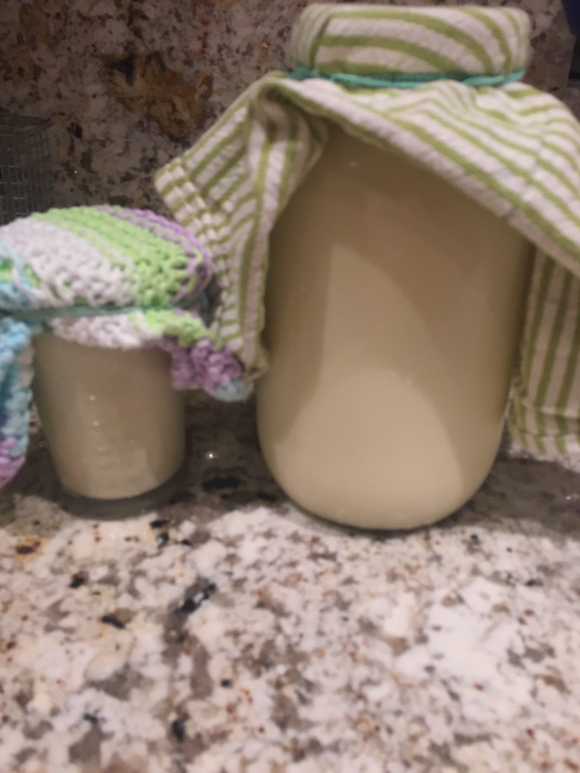 Traditional Ayurvedic Cultured Ghee BWELLAYURVEDA